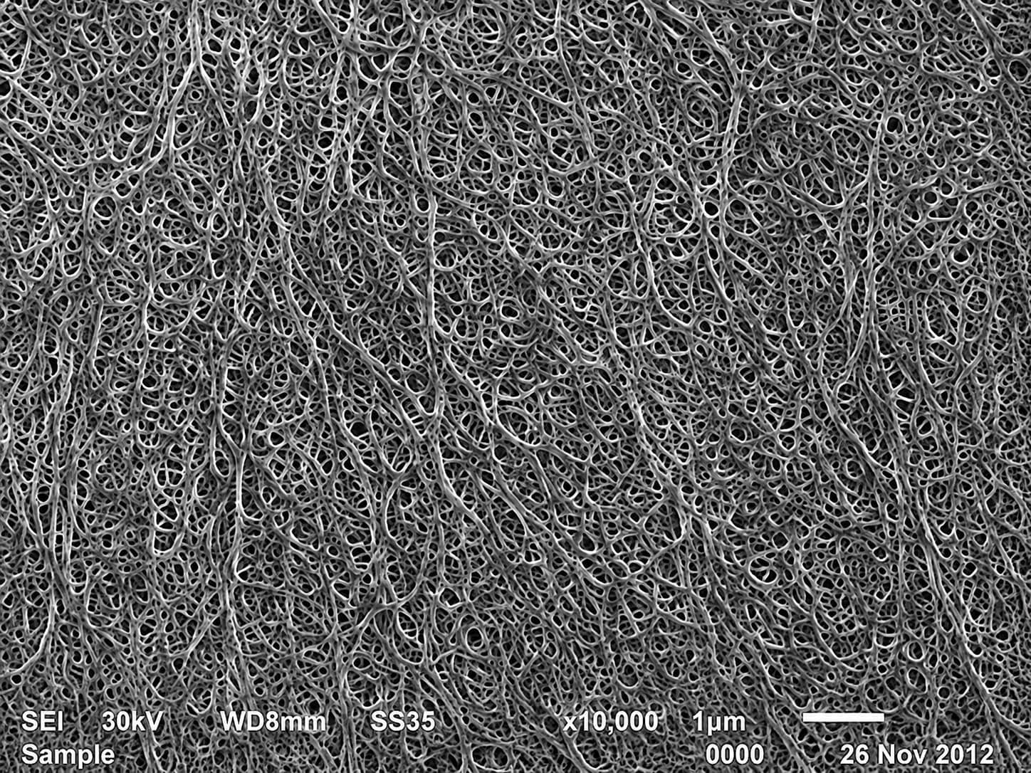 SEM image of a wet-process PE battery separator showing uniform interconnected microchannels formed by thermally induced phase separation, stretching and solvent extraction.