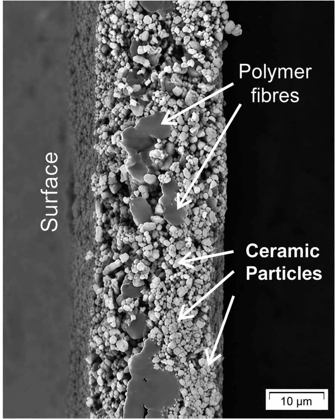 Cross-section SEM image of a composite battery separator showing polymer fiber layers and ceramic particle coating distribution.