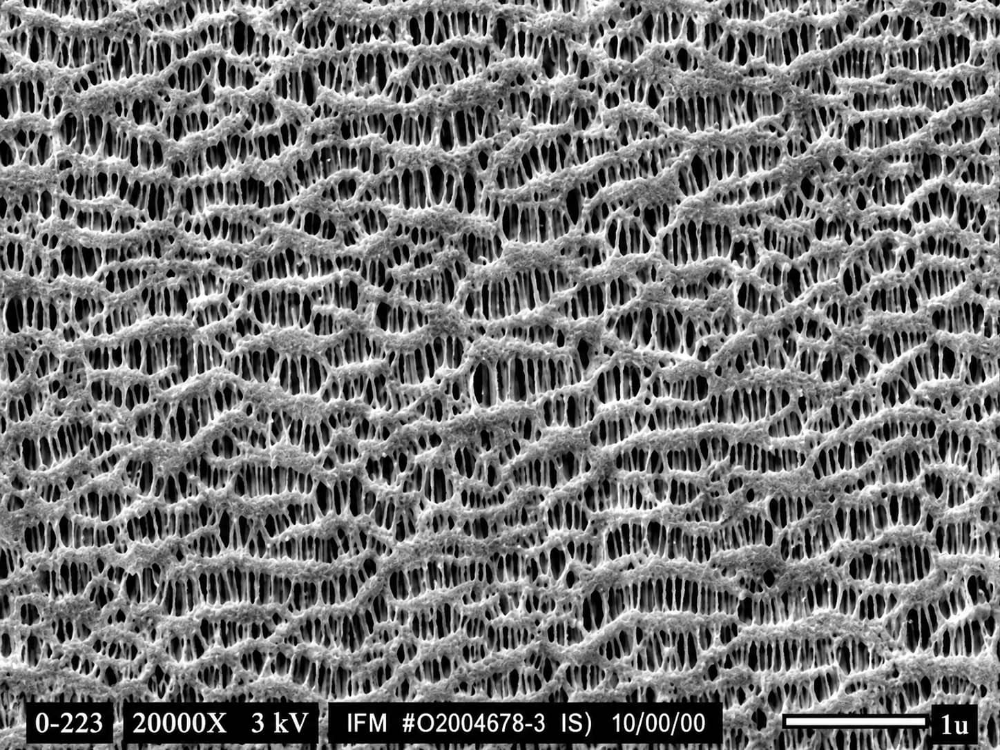 SEM image of a dry-process PP battery separator showing large interconnected micropores formed by crystalline polymer interface separation and stretching.