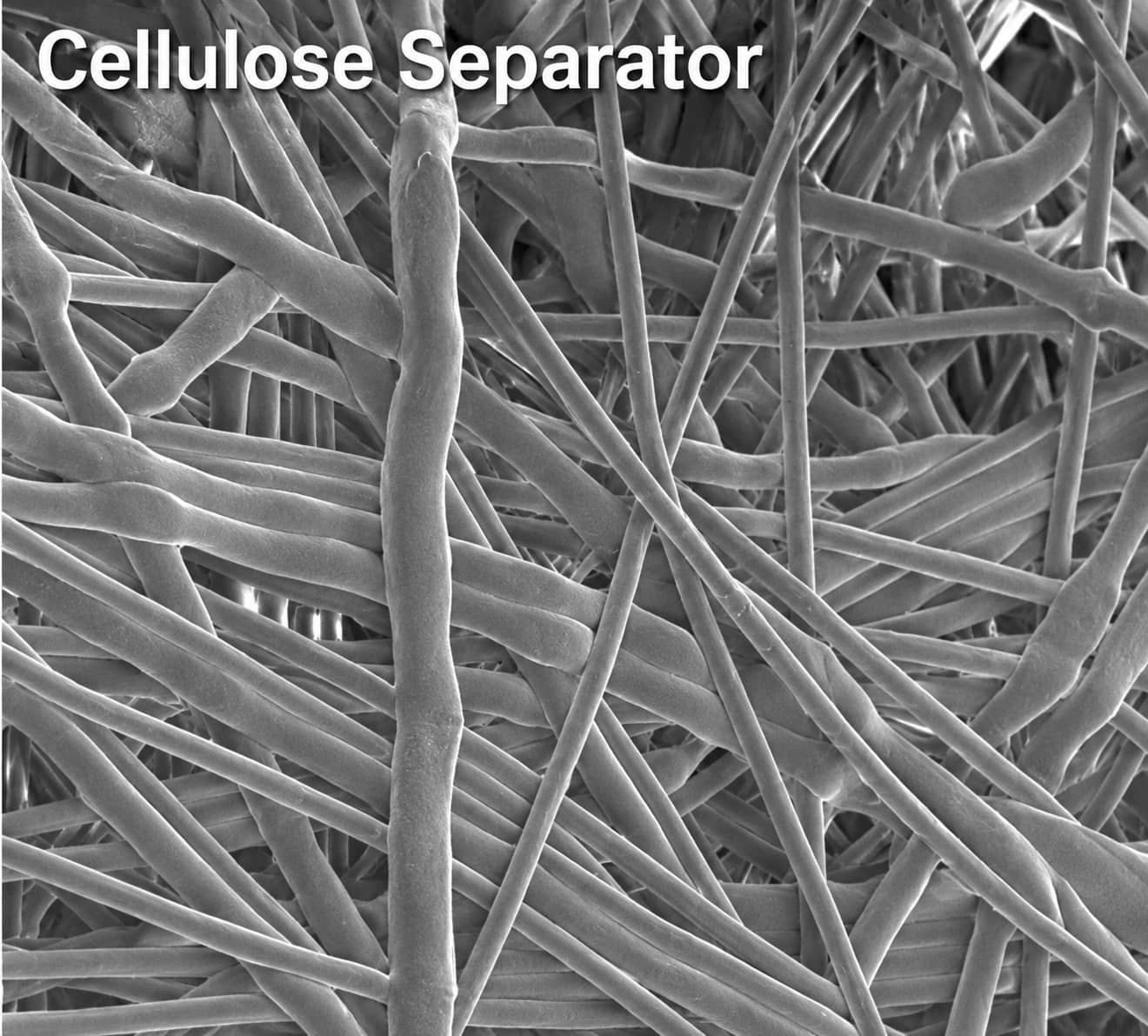 SEM micrograph of a raw cellulose battery separator showing its randomly interwoven porous fiber network.