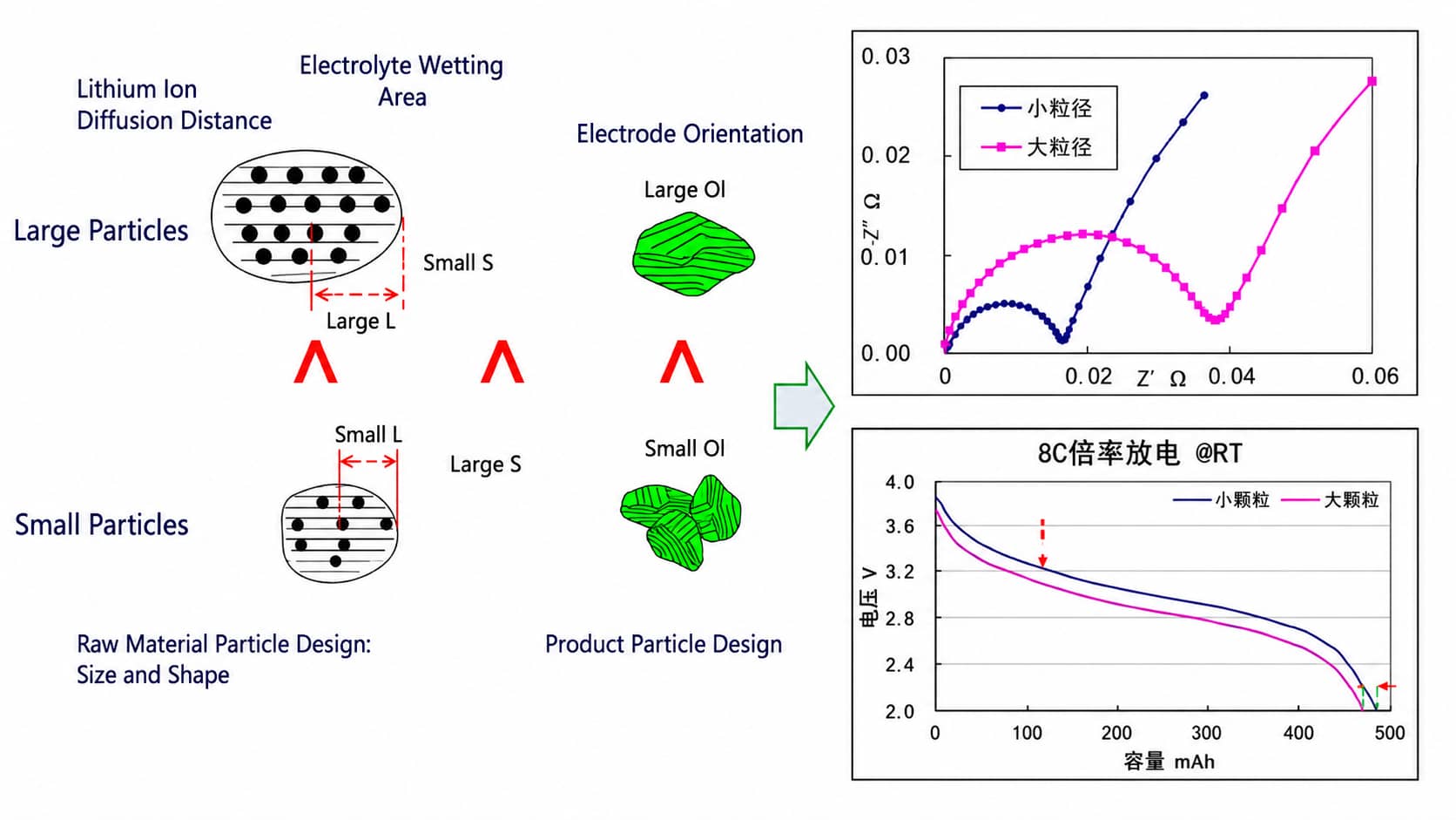 Fine primary graphite particle optimization shortens lithium-ion diffusion distance, increases electrolyte wetting area and lowers electrode orientation for improved rate performance.