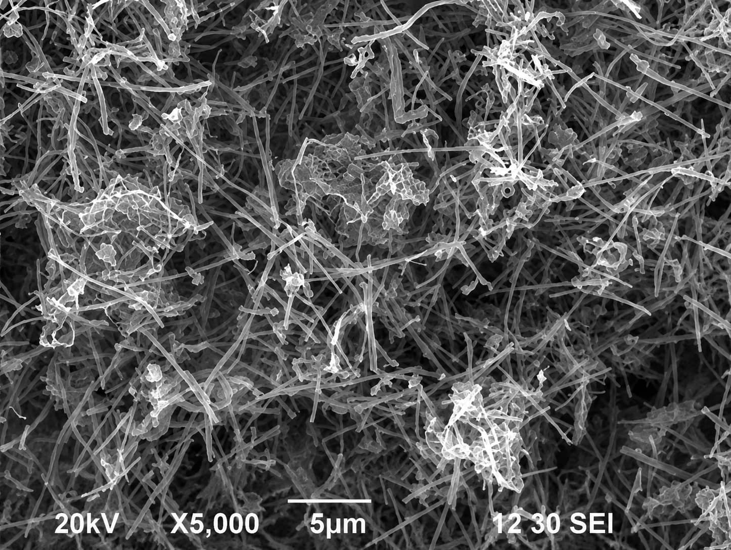 SEM image of a VGCF fibrous conductive network forming long-range electronic pathways between active material particles in a lithium-ion battery electrode.