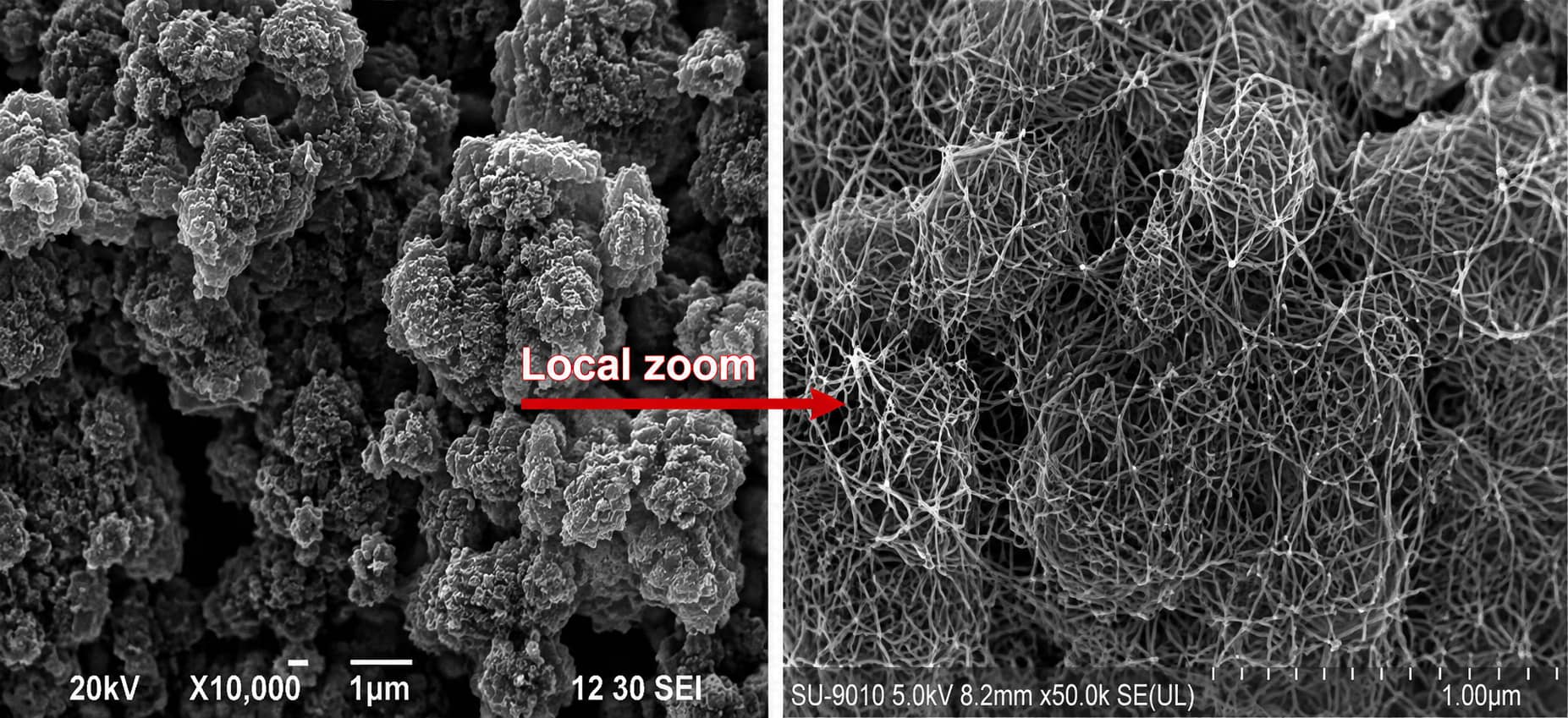 SEM comparison showing carbon nanotubes distributed across electrode particles and forming an interconnected conductive network for lithium-ion battery electrodes.