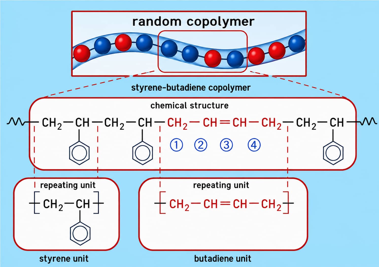 Styrene-butadiene rubber SBR random copolymer structure illustrating the elastic binder component used to provide adhesion and mechanical flexibility in aqueous lithium-ion battery graphite anodes.